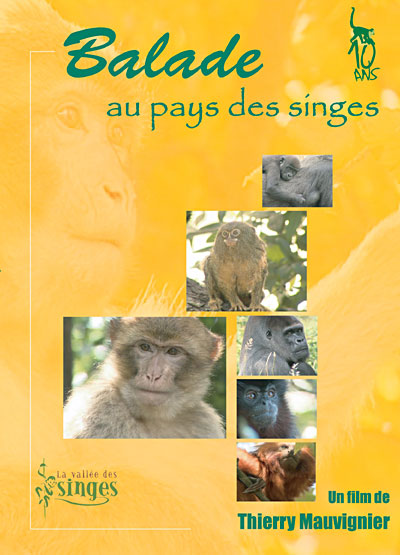 Ballade au Pays des Singes