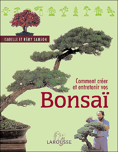 Comment nettoyer et affûter les outils pour bonsai
