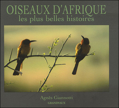 Oiseaux d'Afrique