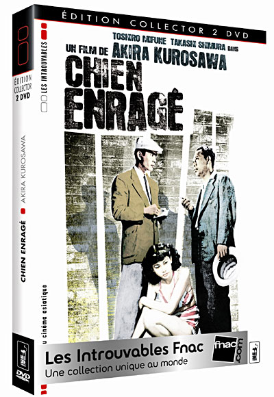 Chien enragé