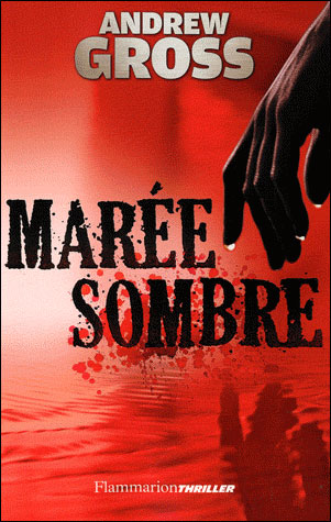 Marée sombre - Andrew Gross - broché