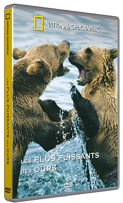Le Plus puissants des ours