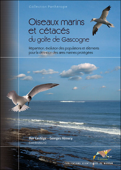 Oiseaux marins et cétacés du Golfe de Gascogne