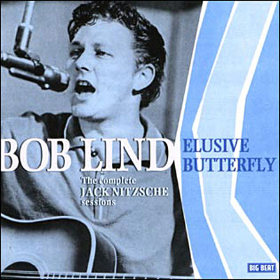 Elusive butterfly