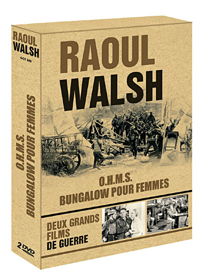 Coffret Raoul Walsh