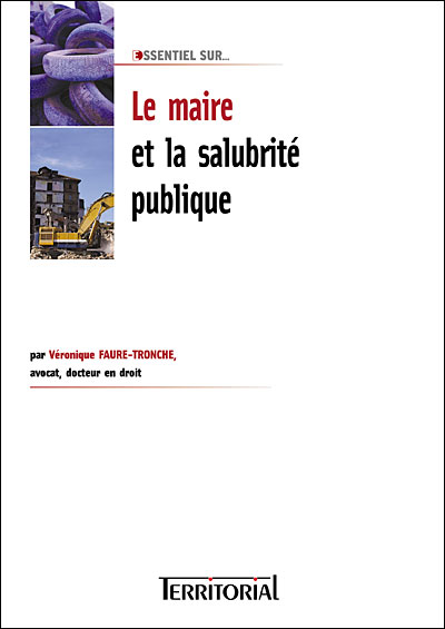 PEINTURES EN BATIMENT - LES LIVRES JAUNES N°12 by COLLECTIF: bon