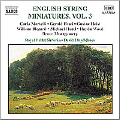 English String Miniatures V.3