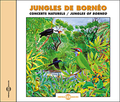 Jungles de Bornéo
