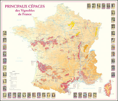 Principaux cépages, vignobles de France