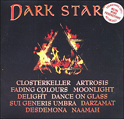 Dark stars
