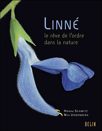 Linné