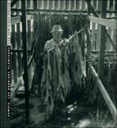 Semois les derniers planteurs