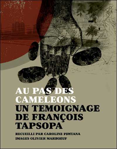 Au pas des caméléons