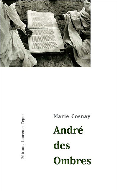 André des ombres - Marie Cosnay - broché