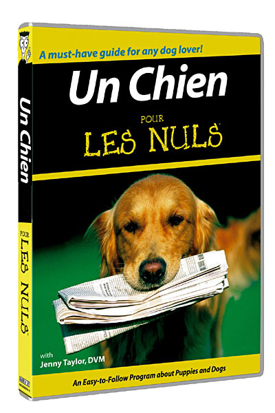 Un chien