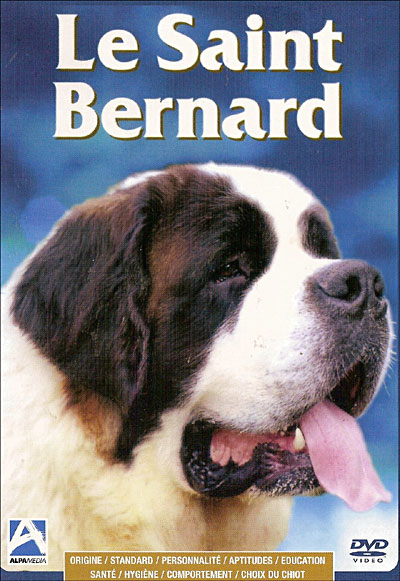 Le Saint-Bernard