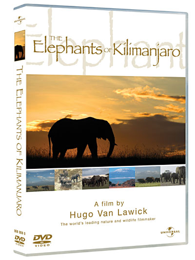 Les Eléphants du Kilimanjaro
