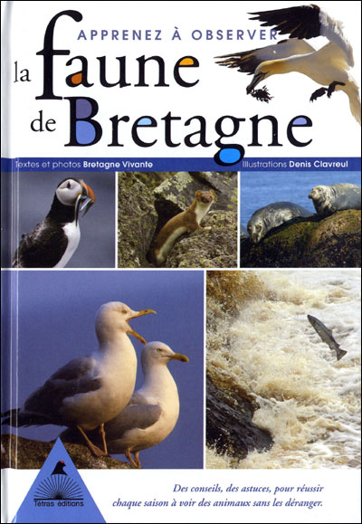 Apprenez à observer la faune de Bretagne - des conseils, des astuces, pour réussir chaque saison à voir des animaux sans les déranger - François de Beaulieu - Tetras - broché - Guide