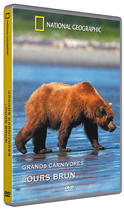 Les Grands carnivores : L'Ours brun