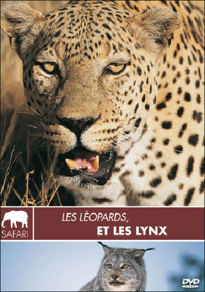Les léopards et les lynx - Collection safari