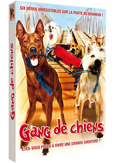 Gangs de chiens
