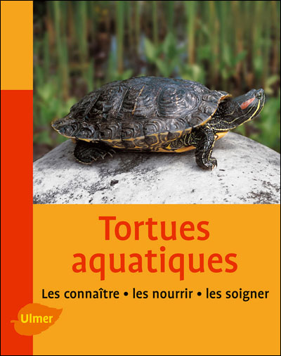 Tortues aquatiques