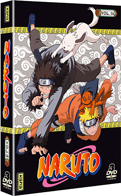 NARUTO 14-3 DVD-VF