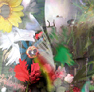 Flowers/digipack/remasterise