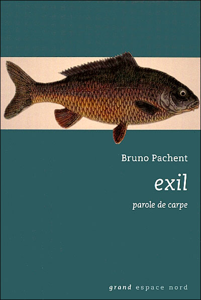 Exil - parole de carpe