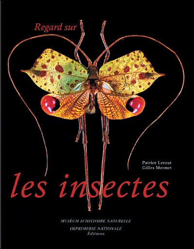 Regard sur les insectes