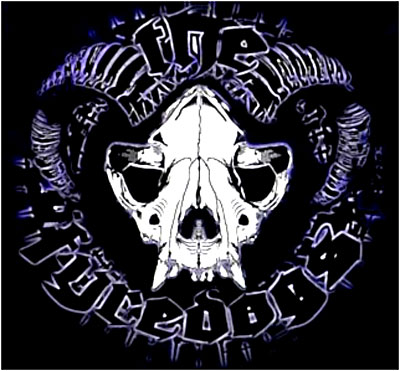 Hell fyre rock n roll