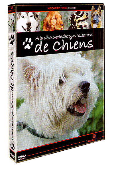 Volume 1 - DVD Zone 2 - Achat & prix | fnac