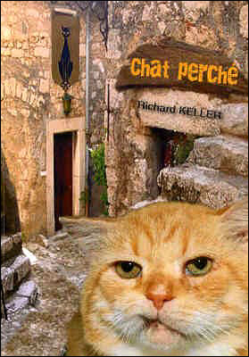 Chat perché - Richard Keller - broché