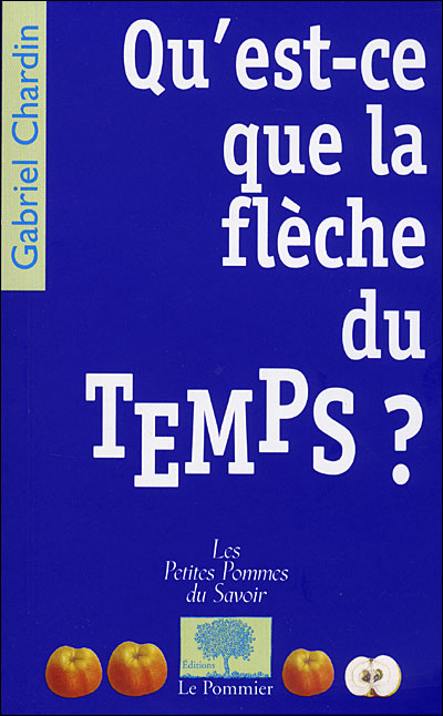 Quest Ce Que La Flèche Du Temps Bolso Gabriel Chardin Compra Livros Na Fnacpt