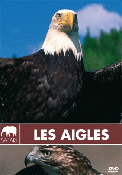 Les Aigles - Collection safari