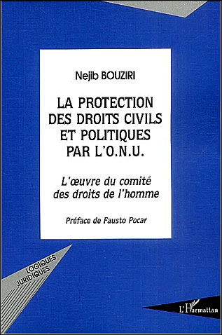 La protection des droits civils et politiques par l'ONU