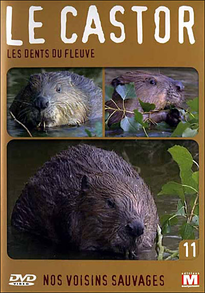 Volume 11 - Le Castor , les dents du fleuve