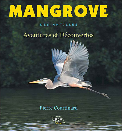 Mangrove des Antilles
