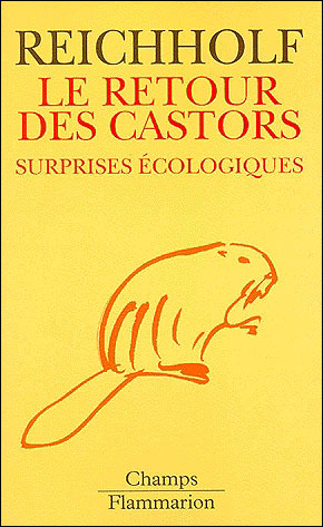 Le retour des castors