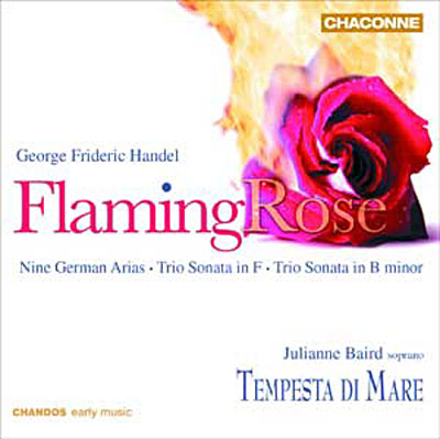 Flaming Rose