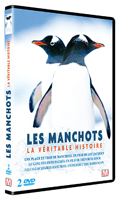 Manchots : La véritable histoire