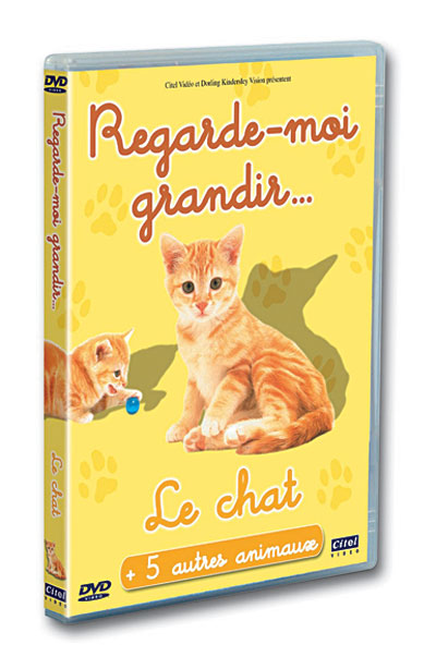 Le chat
