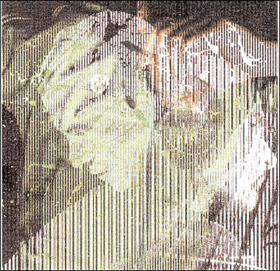 Pirate - Digipack