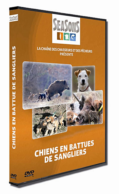 Chiens en battues de sangliers