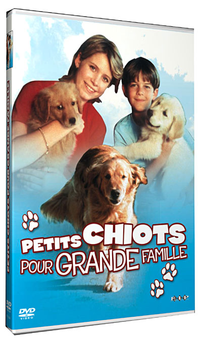 Petits chiots pour grande famille