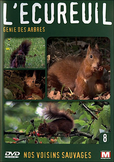 Volume 8 - L'Ecureuil, génie des arbres