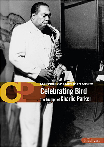 Celebrating bird