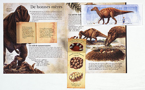Encyclopédie des dinosaures - broché - Collectif, Sylvie Deraime, Véronique  Dreyfus, Livre tous les livres à la Fnac