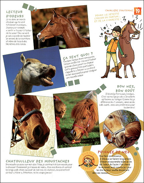 J'aime les chevaux: cahier de note ligné pour fille amoureuse des chevaux -  cahier avec photo de cheval - idée cadeau fille a book by Les Livres Equidés