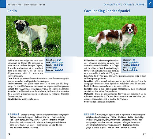 Chiens De Race De A à Z